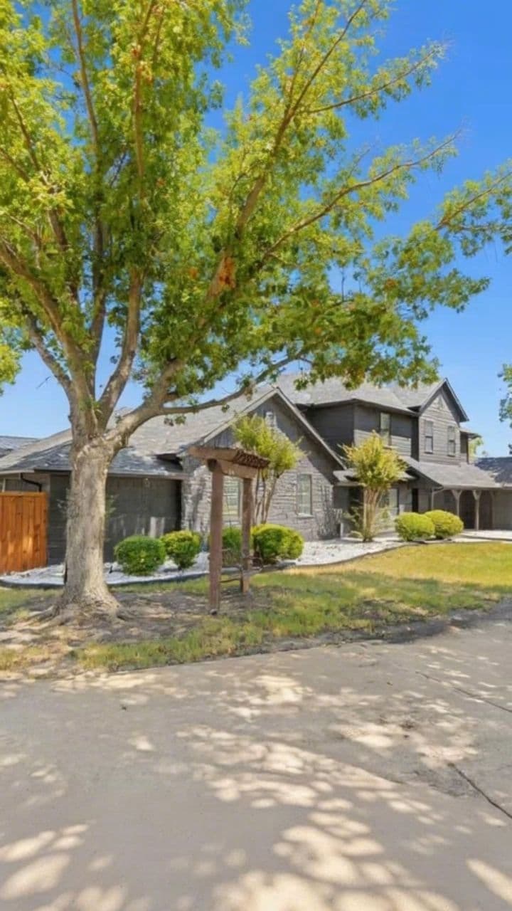 Image transform video