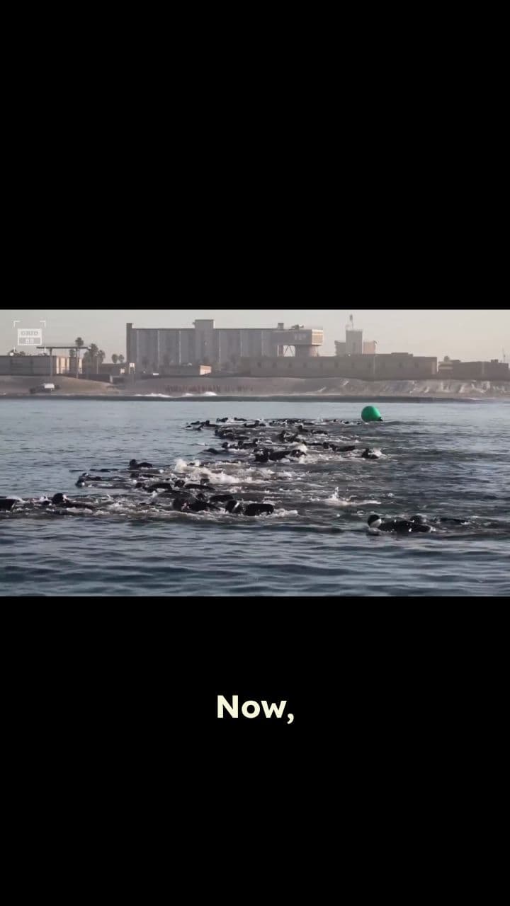 The Insane 80% Dropout Rate of Navy SEAL Training