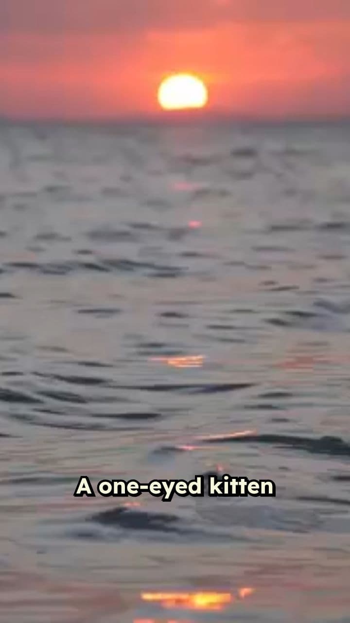 Whispers of Light and Nature