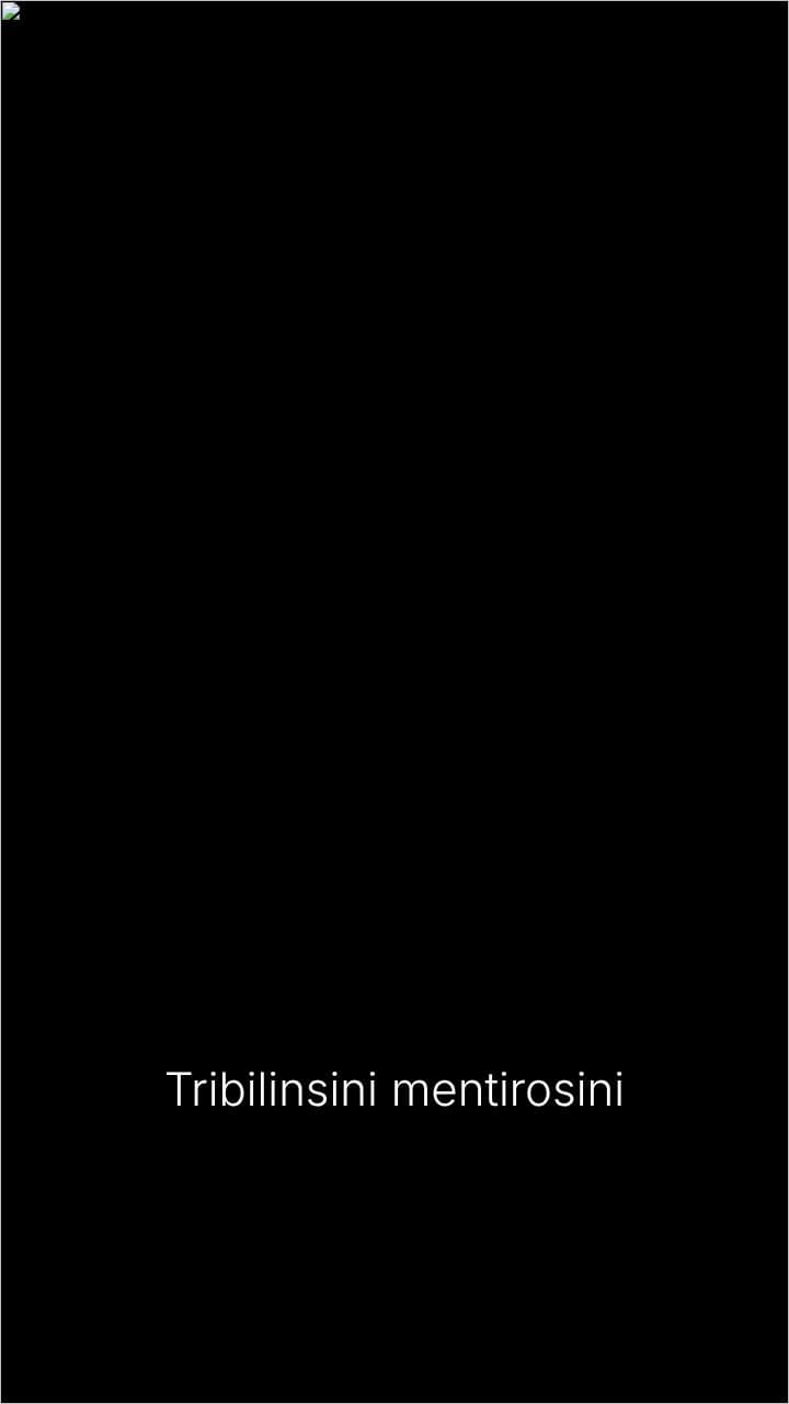 Mentiroso en repetición