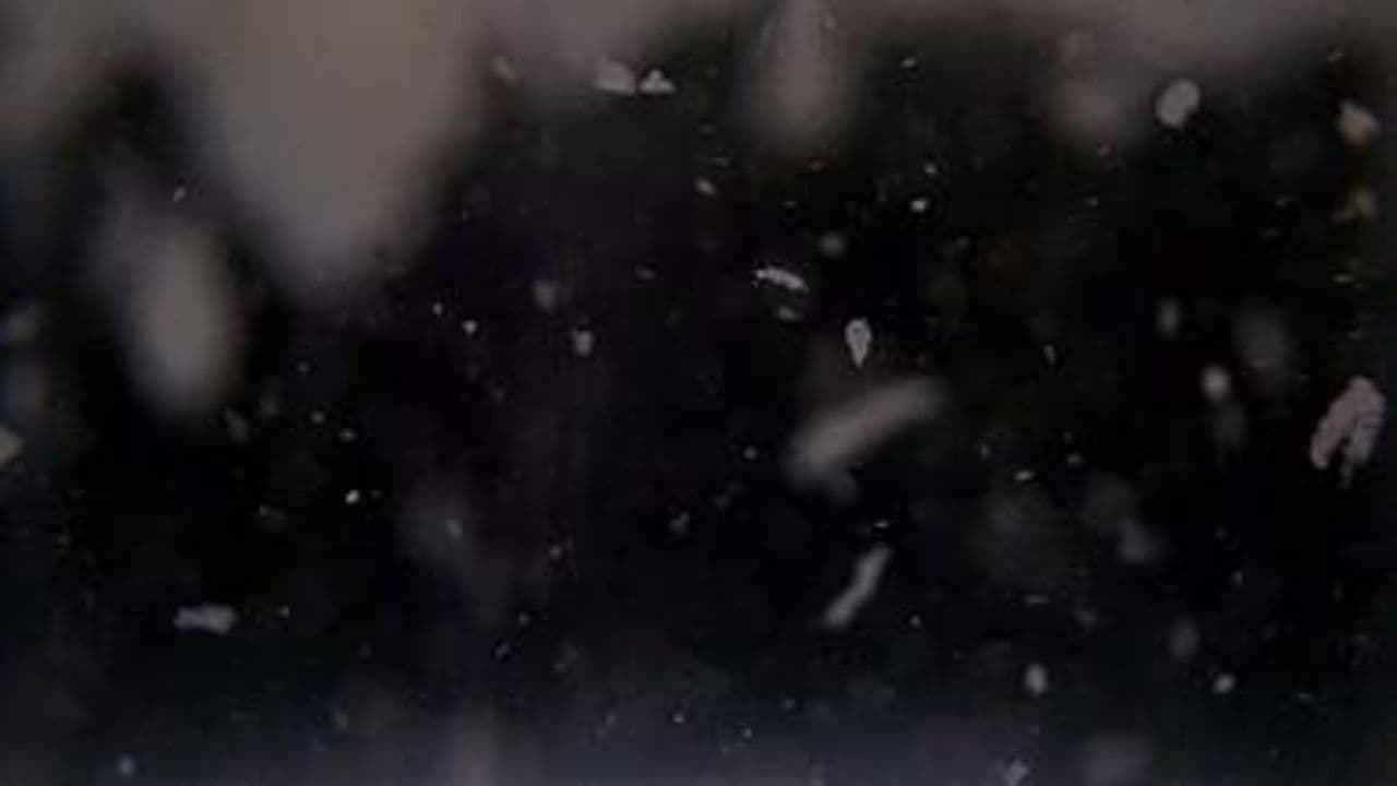 Embracing Compassion and Awareness