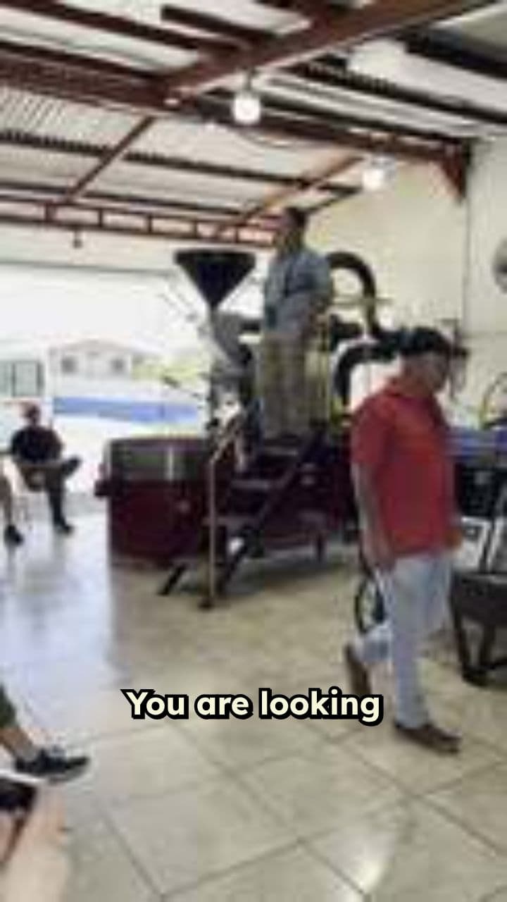 Metal Preservation Experts: Mythri India