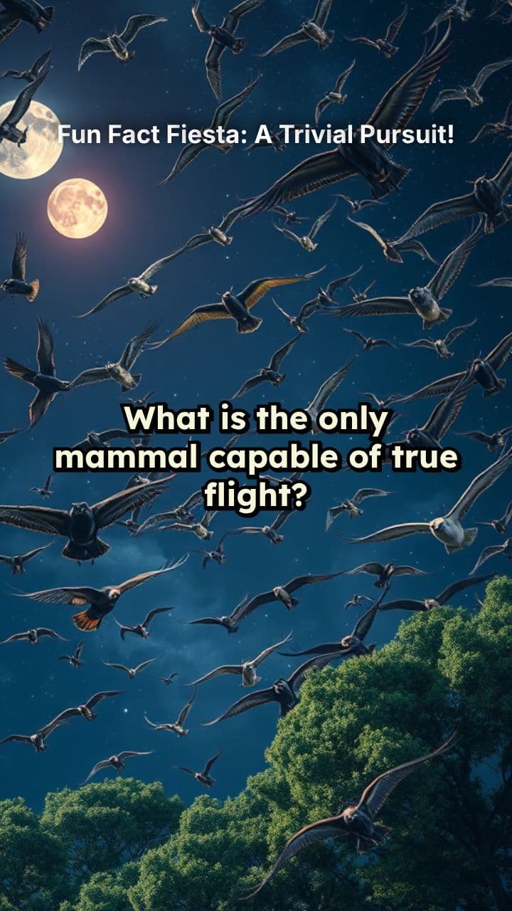 Fun Fact Fiesta: A Trivial Pursuit!