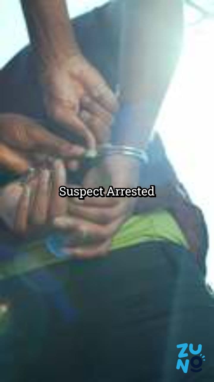 Suspect Arrested for Pacific Palisades Fire