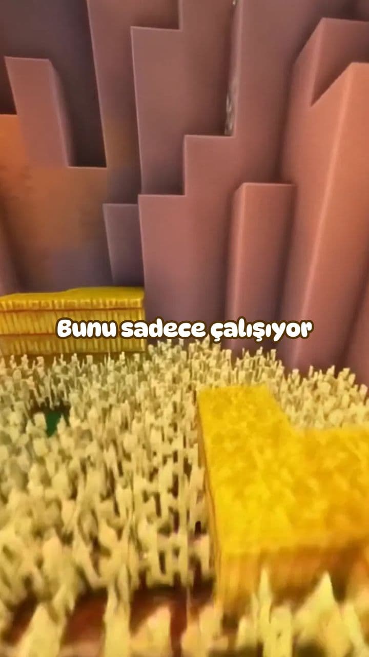 Çalışma Testi ve İyi Akşamlar