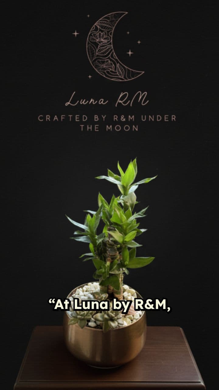 Gifts That Grow with Meaning