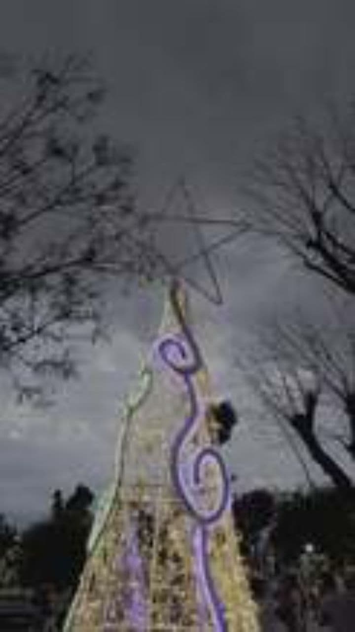 Un nuevo comienzo para fin de año