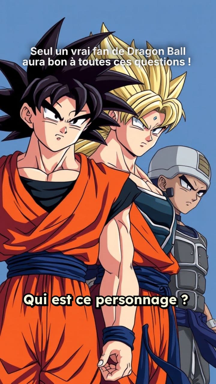 Seul un vrai fan de Dragon Ball aura bon à toutes ces questions ! 