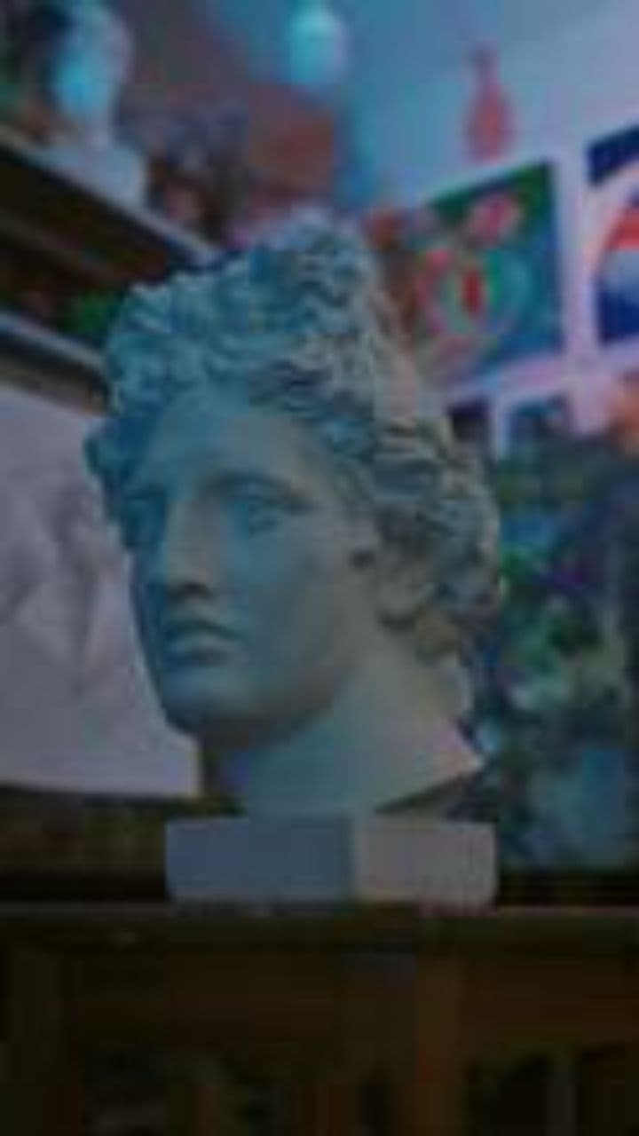 Alo Plast: No Sand, No Cement, No Curing!