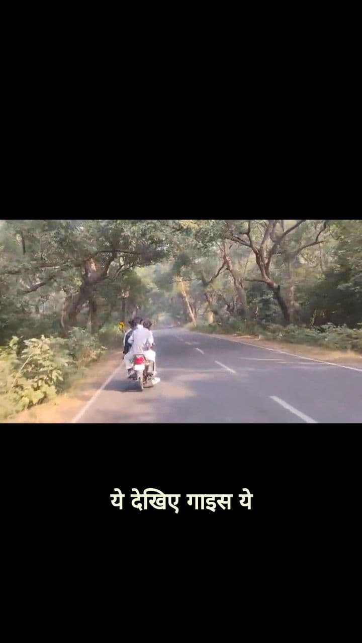 A Terrifying Jungle Adventure