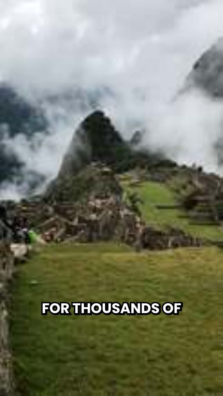 The Fermi Paradox: Are We Alone?