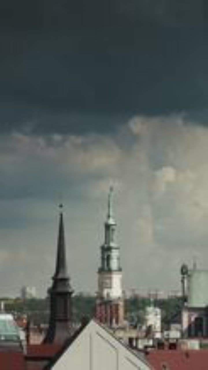 Rise from the Shadows