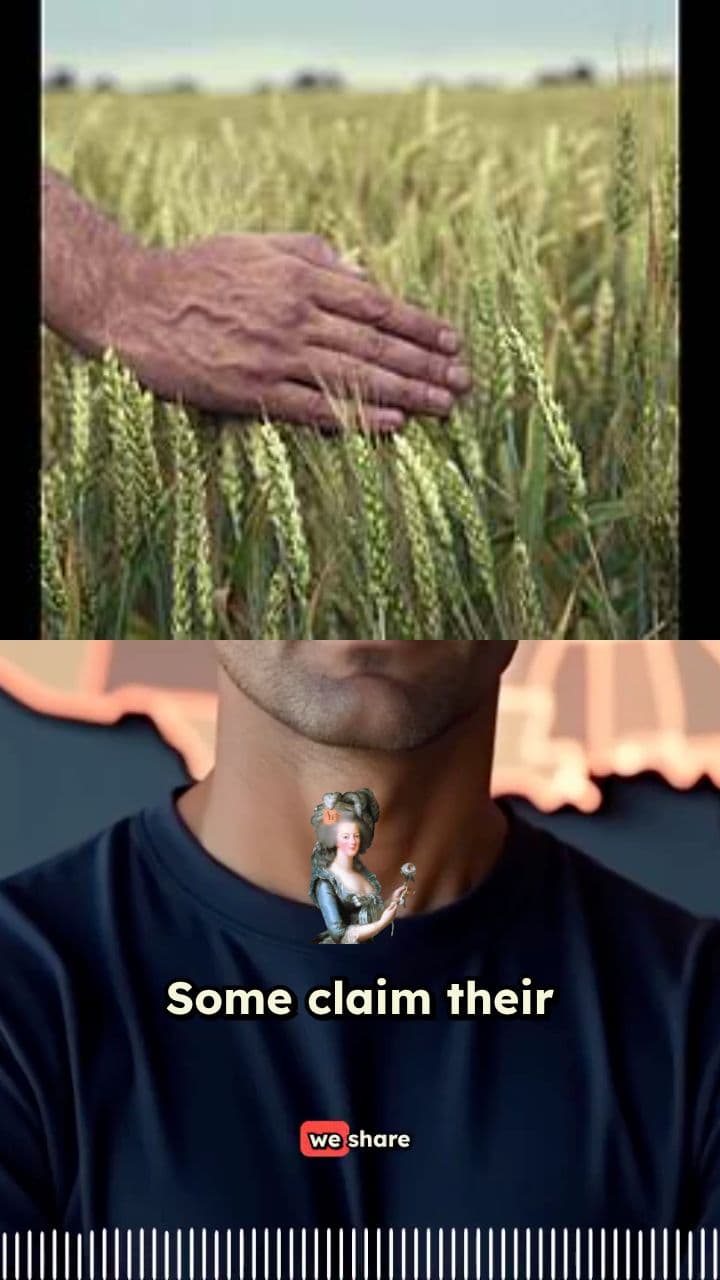 A Belonging I Could Never Hope to Find