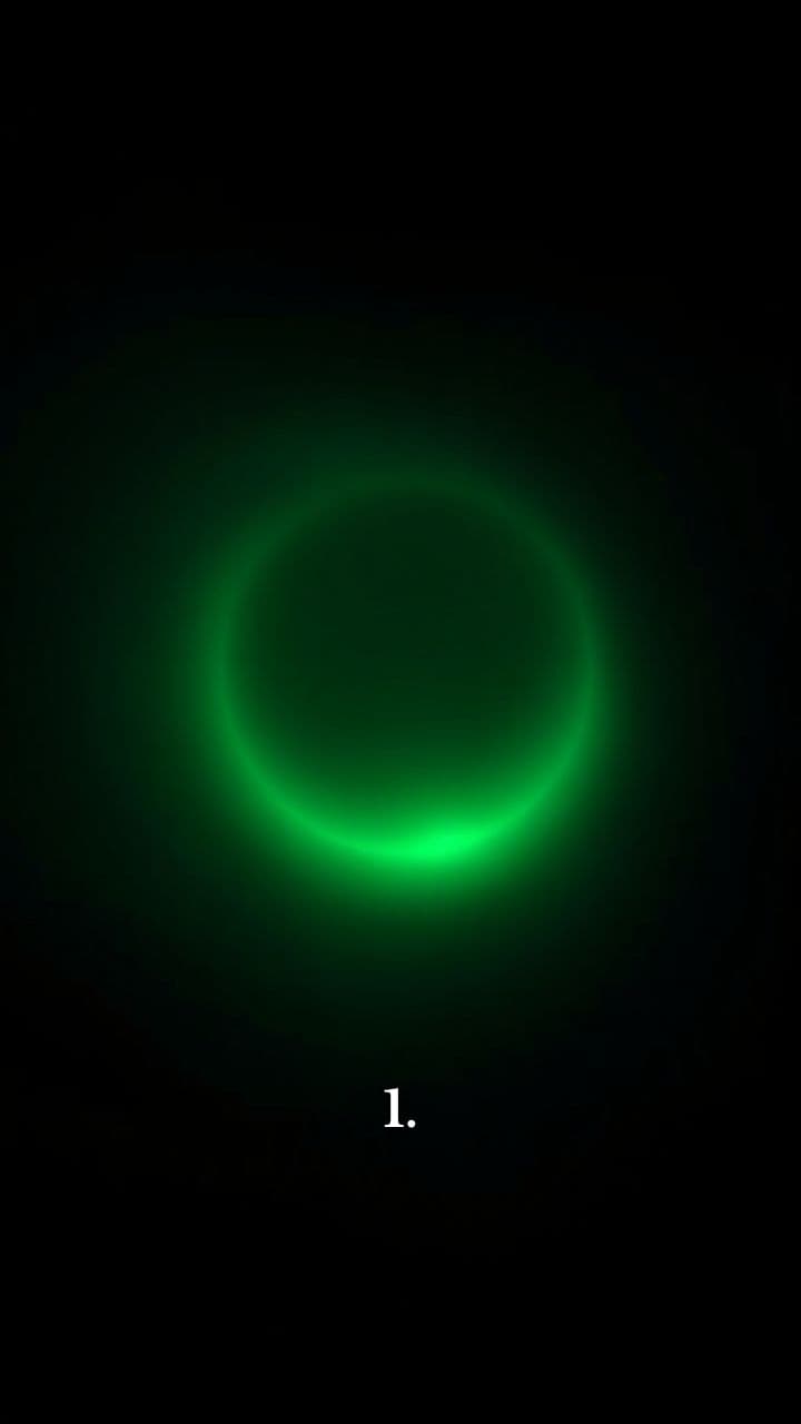 Moringa Magic: Supercharge Your Life