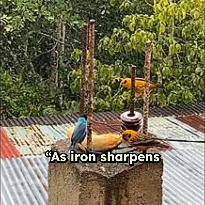 Maranatha Men's Fellowship Saturdays 6PM