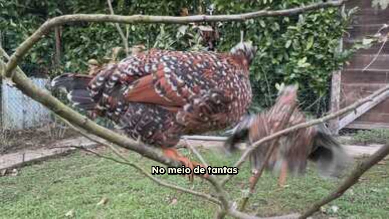 A Imutabilidade de Deus em Tempos de Mudança