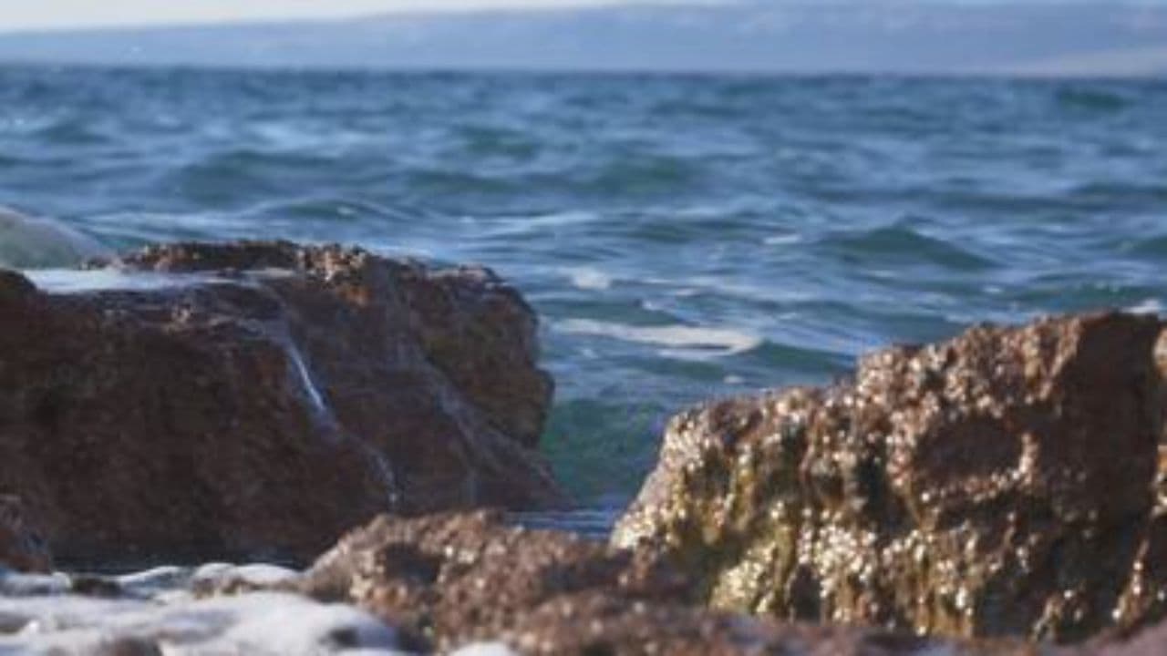 شخصیتی قدرتمند و تاثیرگذار