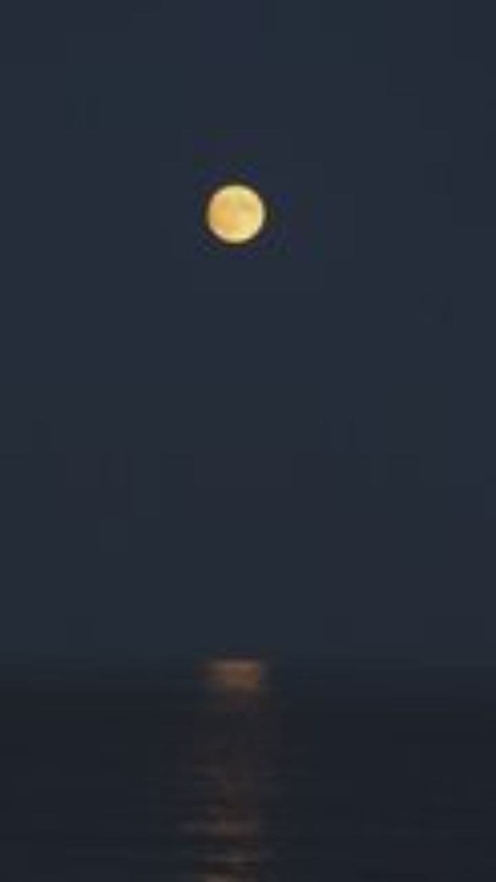 Paradis des bonheurs