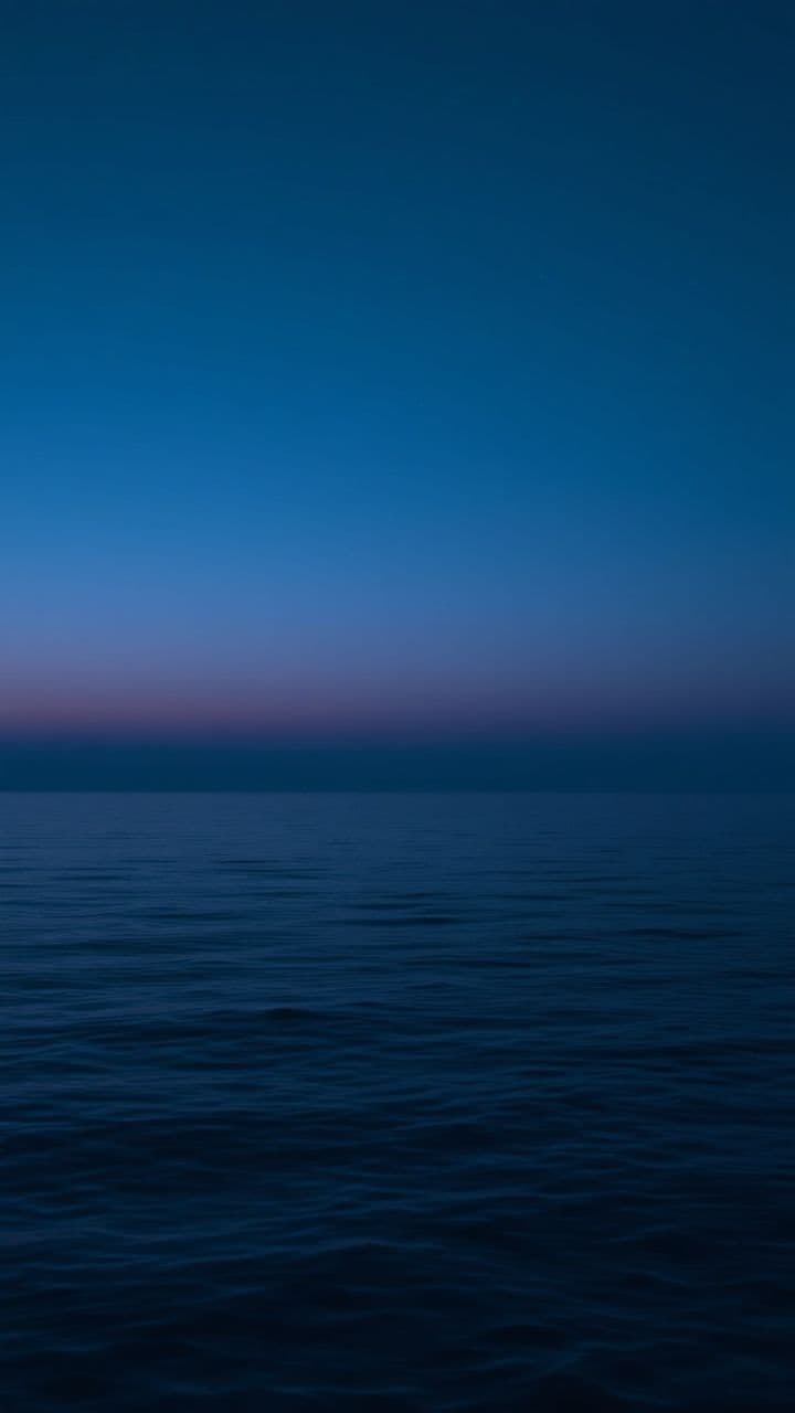 Jesus: The Way to Salvation