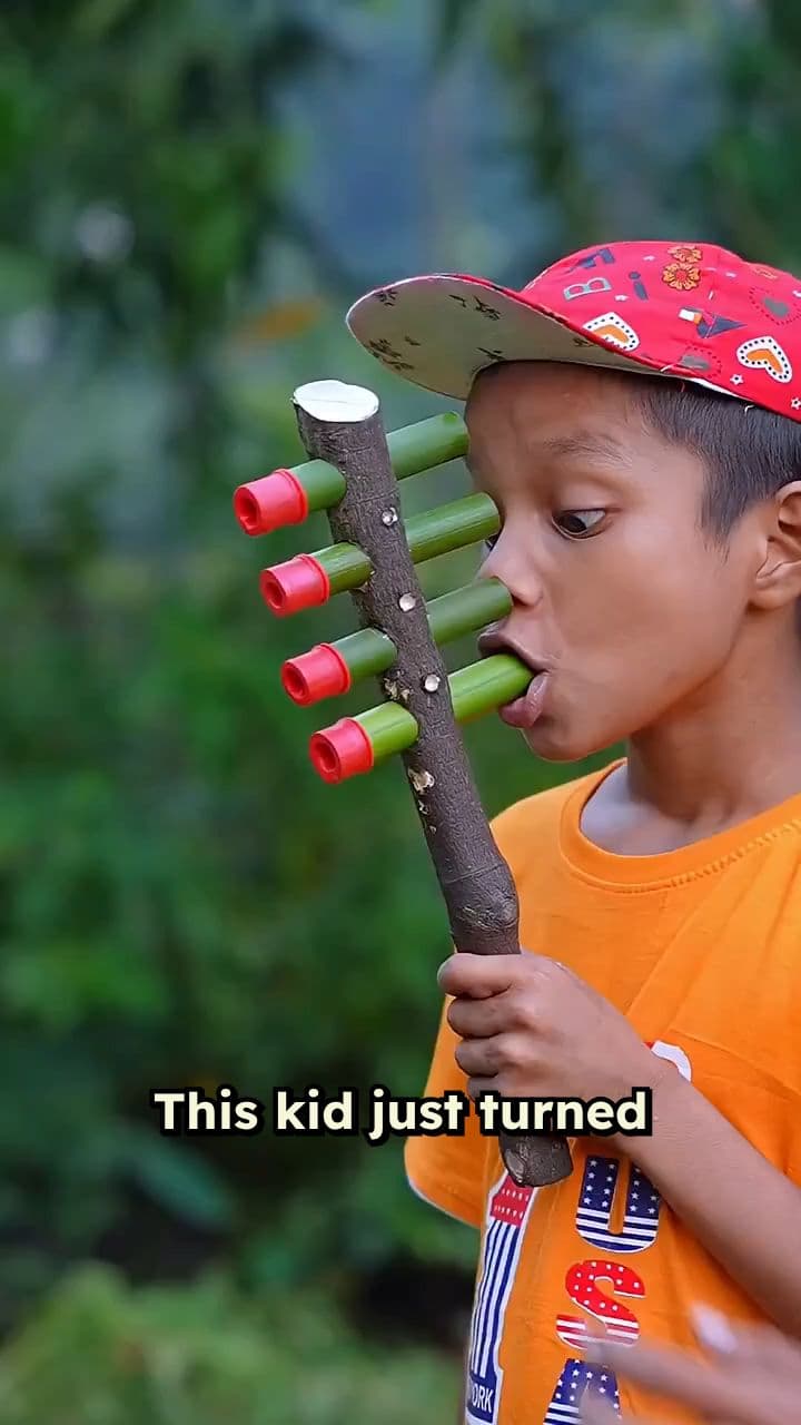 Pure Joy in Creation