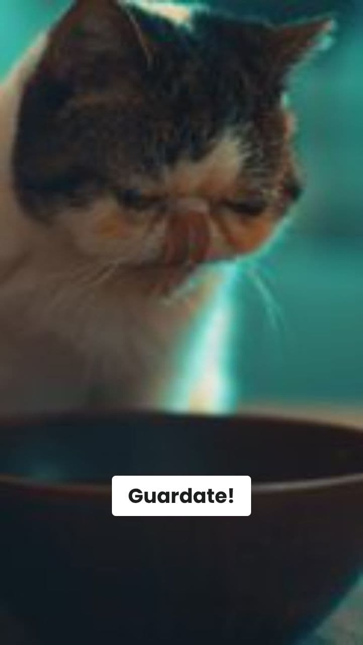 Gattolino Muscoloso: L'Eroe della Mascella