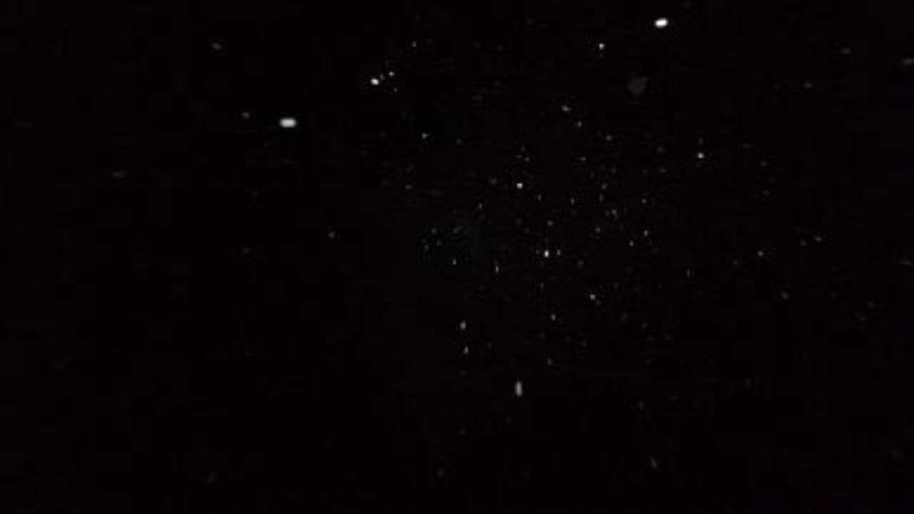 Новогодняя рыбалка и юмористы