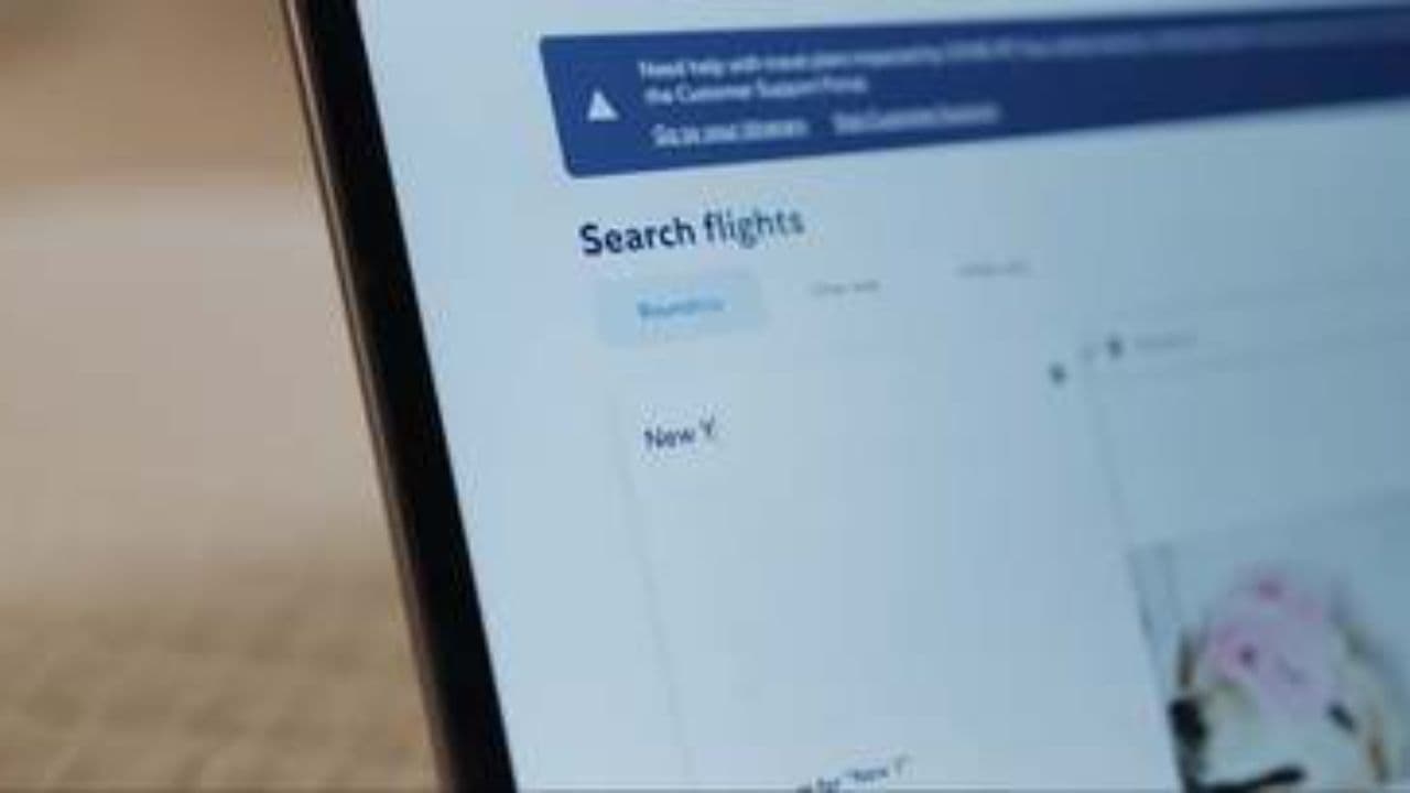 Renovación Total en Paseos y Turismo