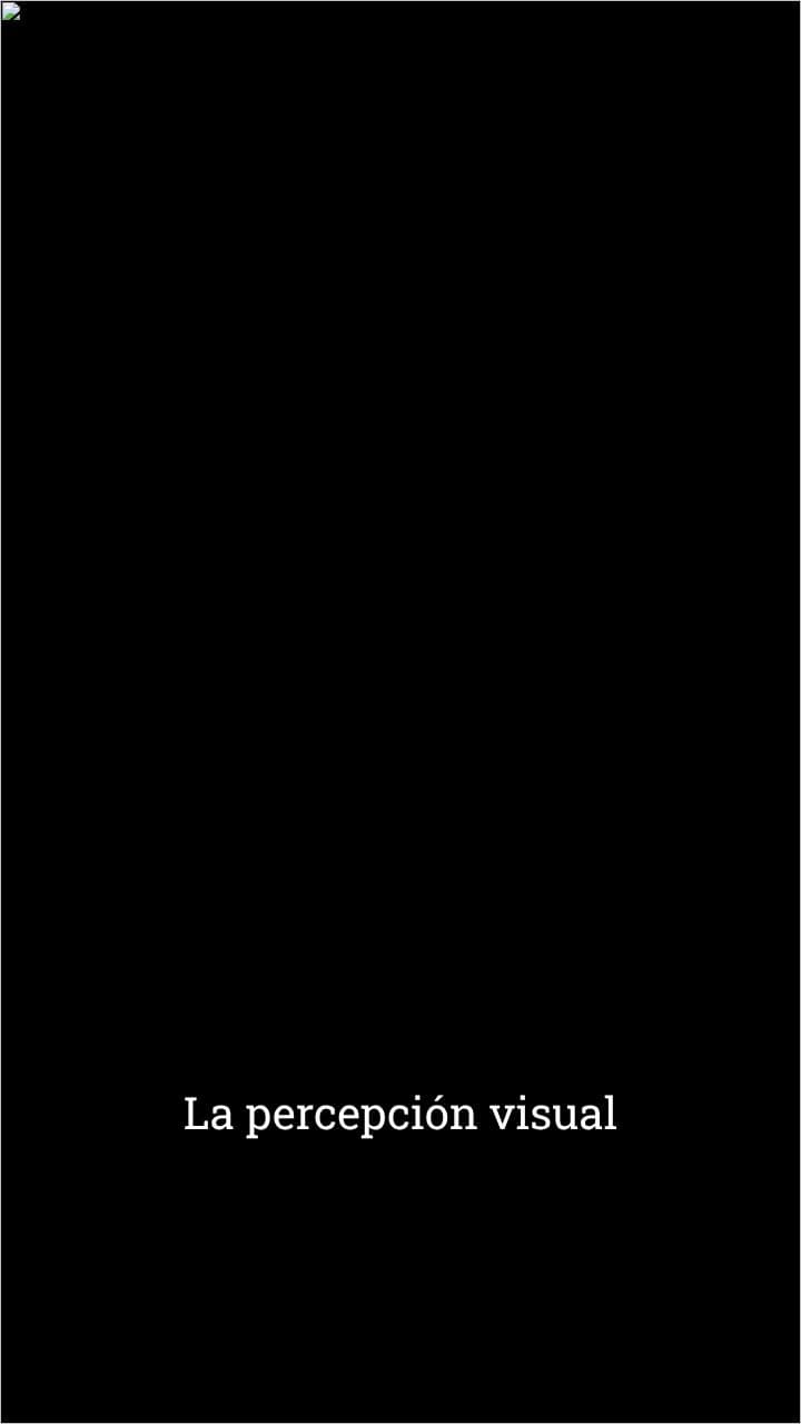 La complejidad de la percepción visual
