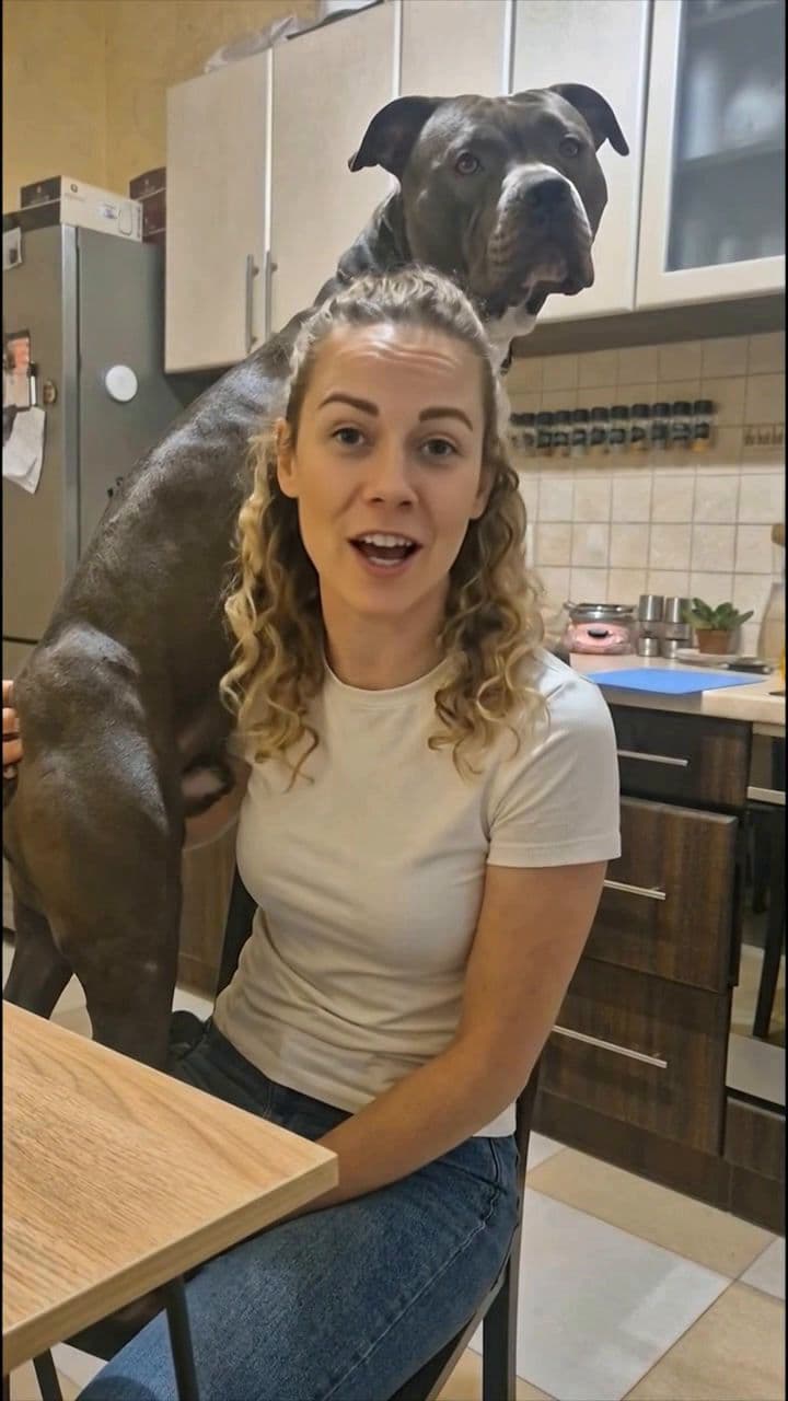 Quebre a Desobediência Canina Sem Punição