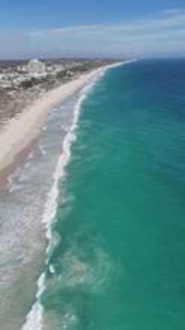 Let's Elope Together