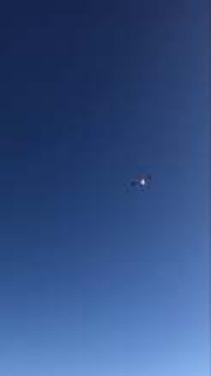 Почему я не птица?