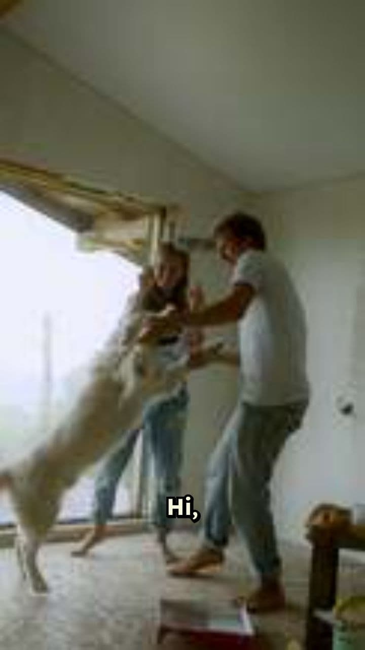 OK BOSS: My Personal Secretary