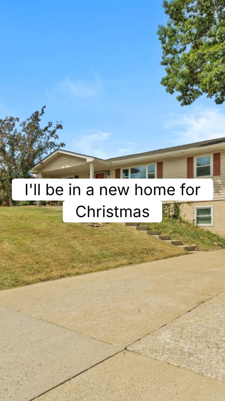 New Home for Christmas