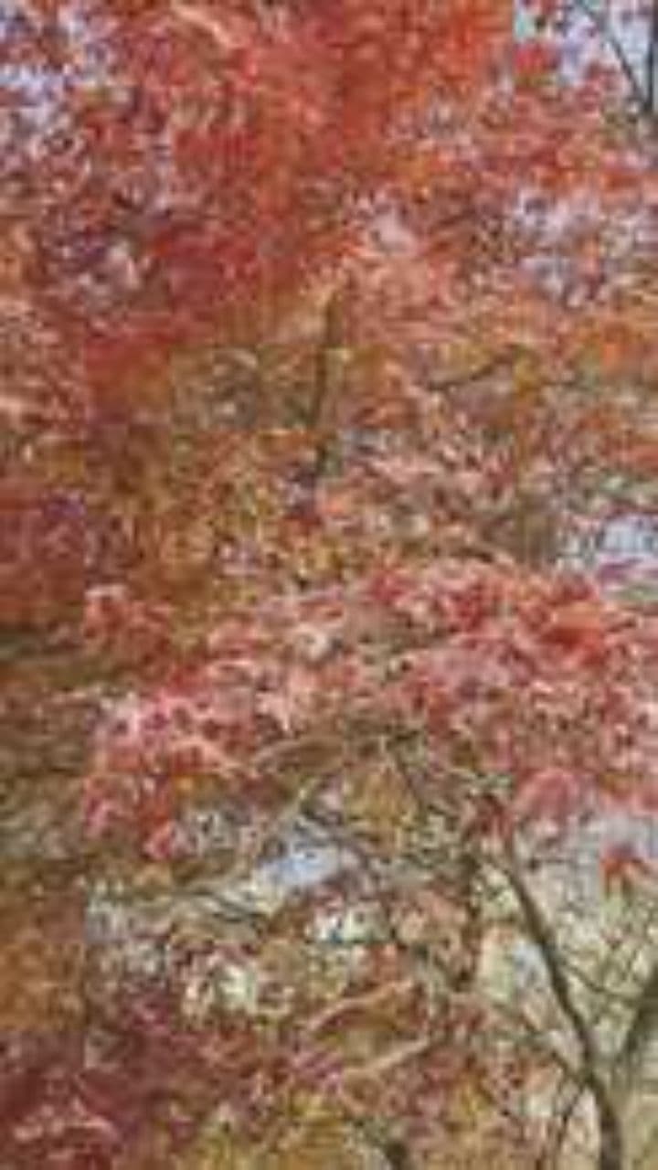 Осень настала