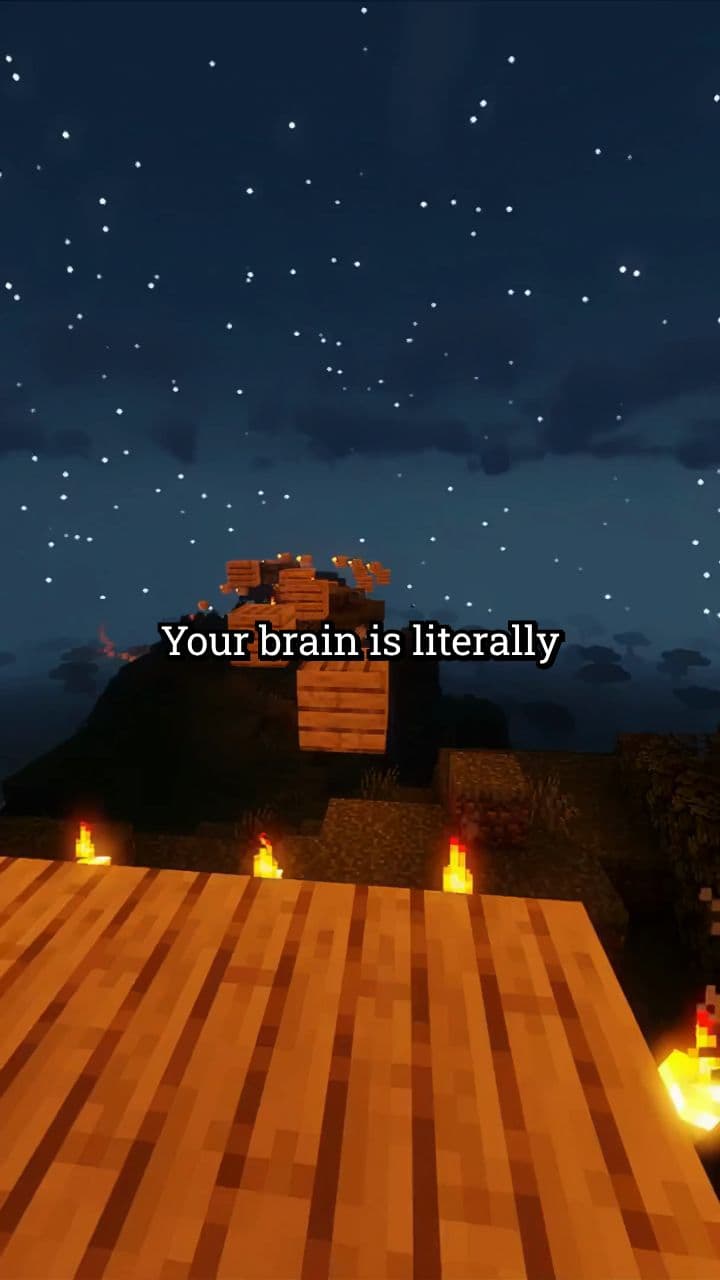 Autophagy: The Brain's Self-Recycling Process