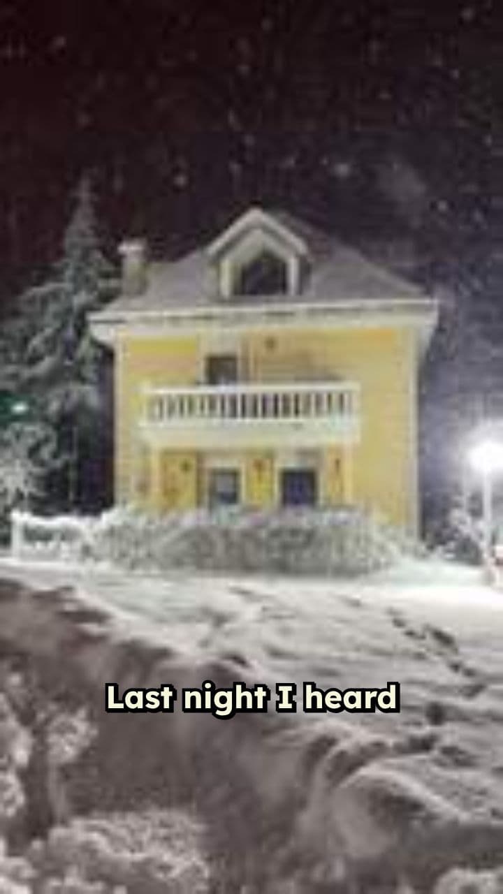 Raccoon Wrestling Match on My Porch