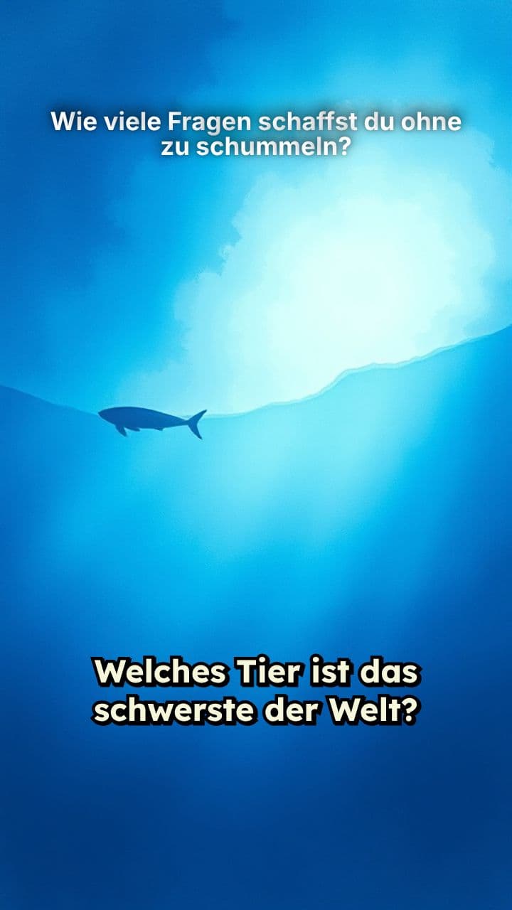 Wie viele Fragen schaffst du ohne zu schummeln?
