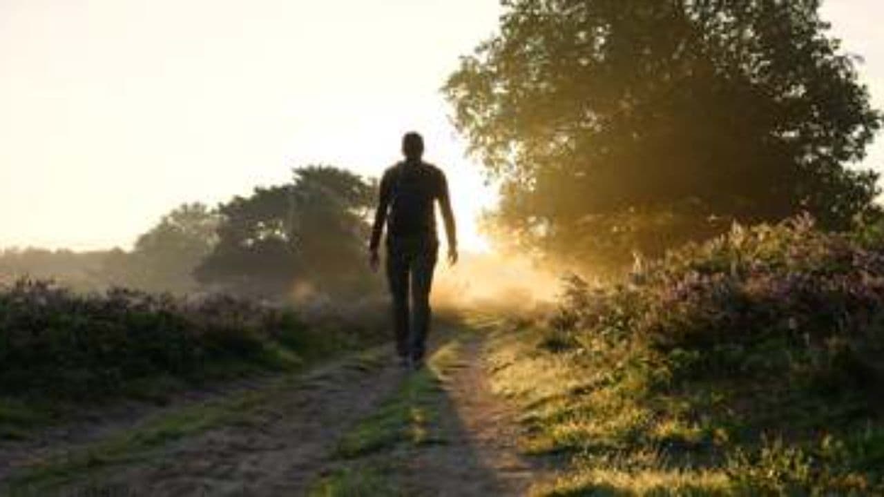 நமச்சி வாயே - அருள் தரும் அன்னை