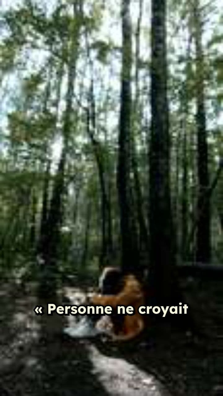 La discipline plus forte que le talent