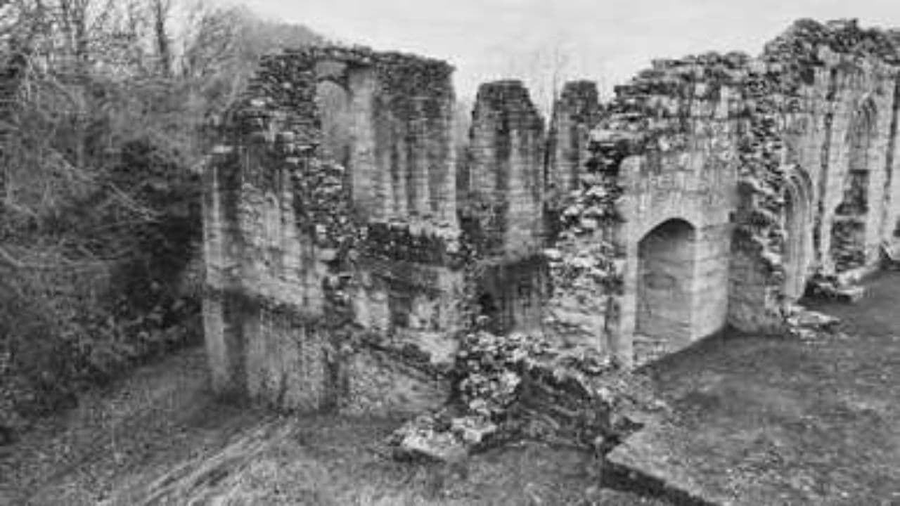 Unity and Courage Win