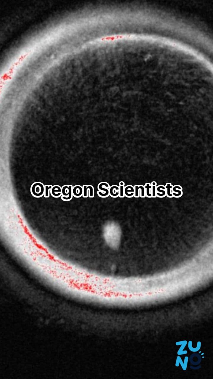 Oregon Scientists Create Eggs from Skin Cells