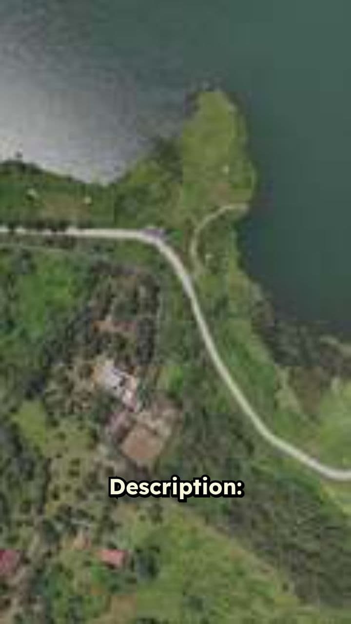 Earn Cash by Promoting PayPer Videos