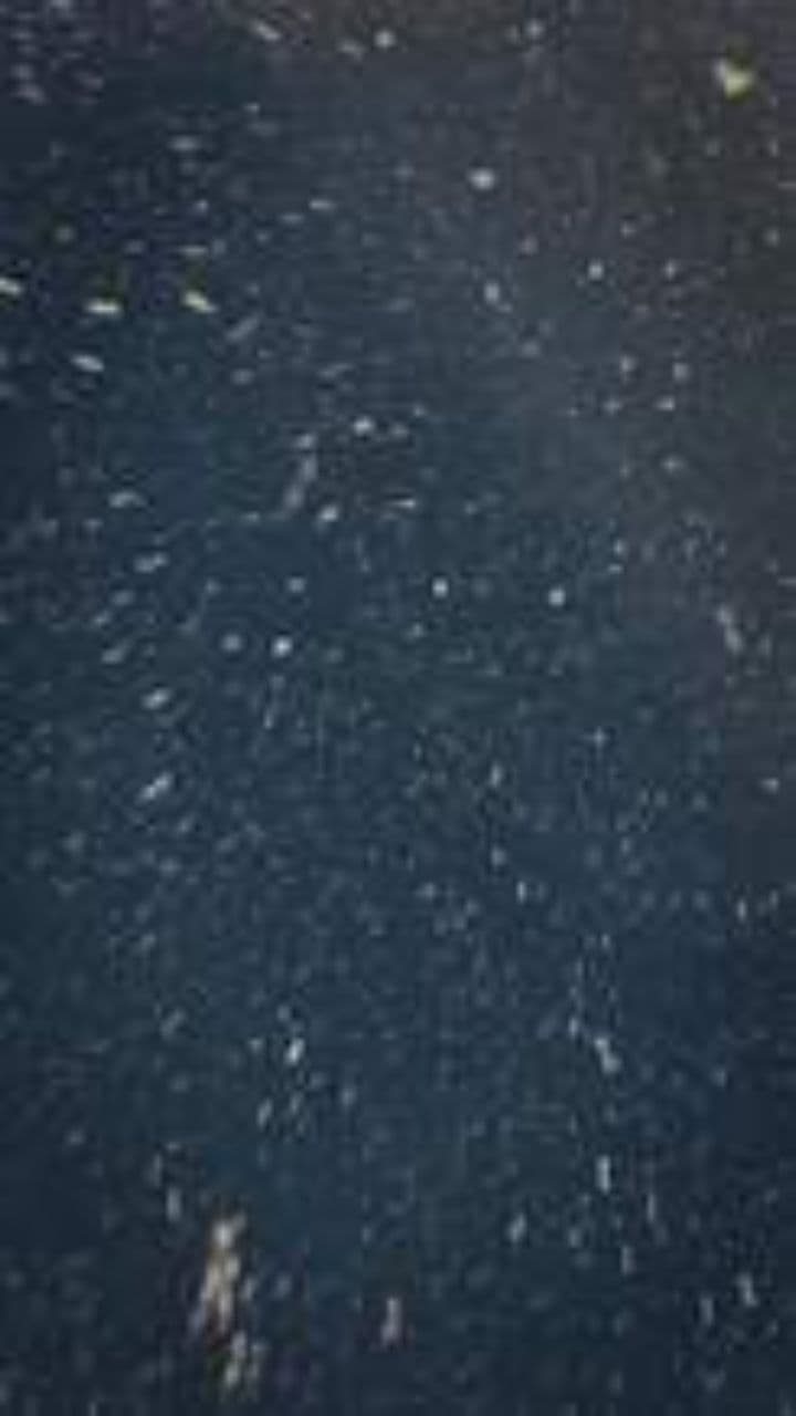 Снеговик в зимней сказке