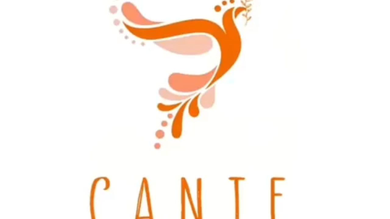 Colagem de Fotos com Pássaro Voador