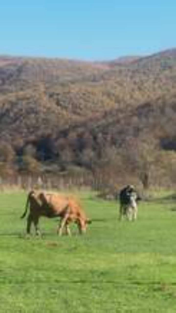 Lessons from Jesus, Jennings, and Jones