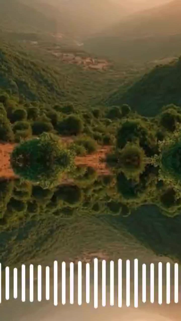  SVI shorts-Ticharamba Tichifara - We Will Be Fine