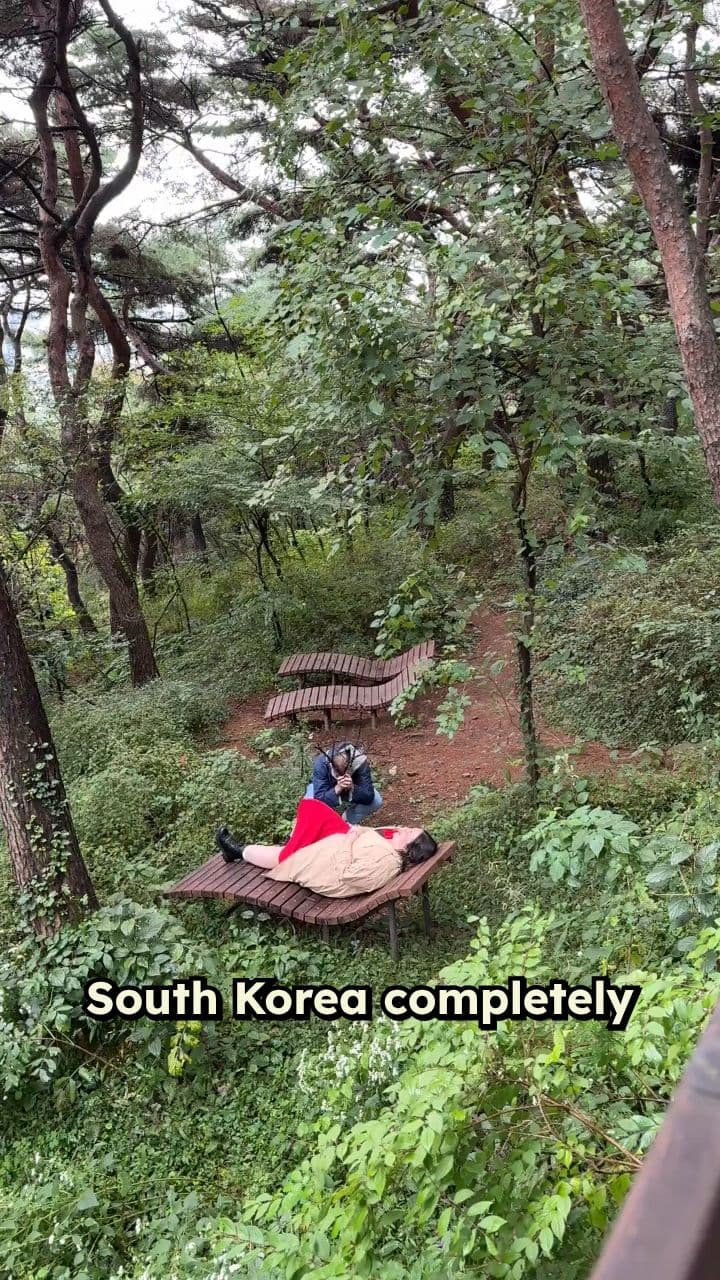 Unexpected Wonders of South Korea
