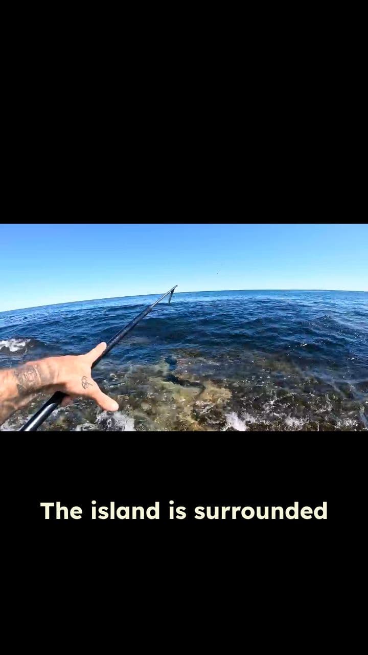 Shark-Infested Island Challenge