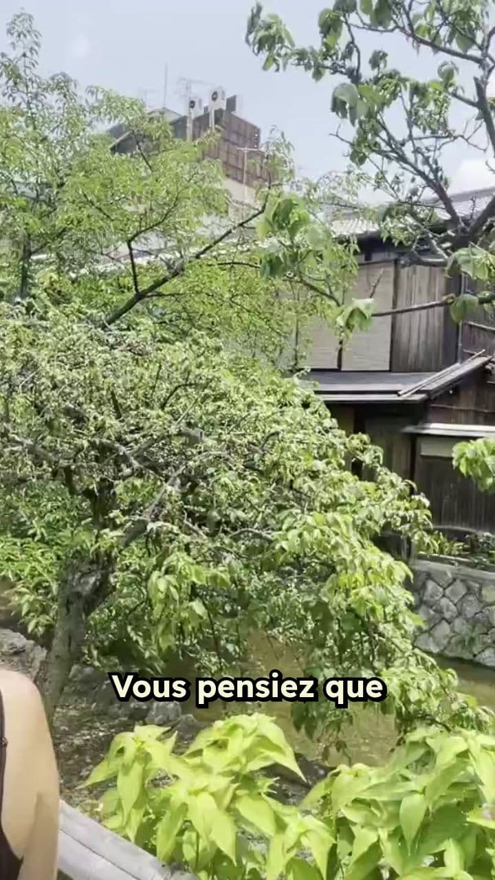 Japon : entre lutteurs et crabe géant