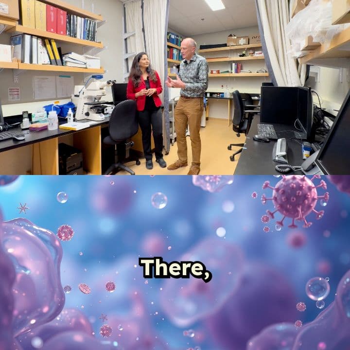 What to Look for in a Microbiome Report